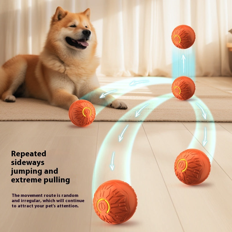 Durable Luminous Automatic Jumping Dog Toy for Aggressive Chewers